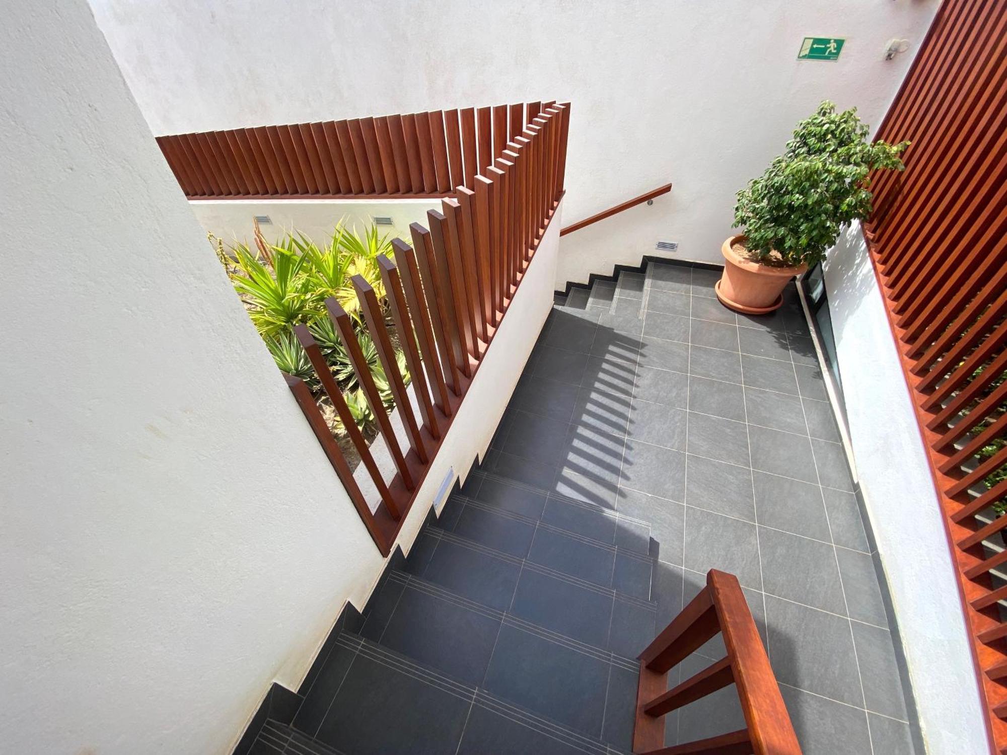 Papaya Apartments Sal Island Santa Maria Exterior photo